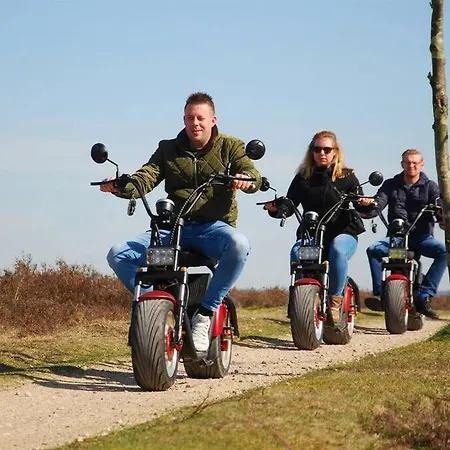Chalet Op De Veluwe # Berk *