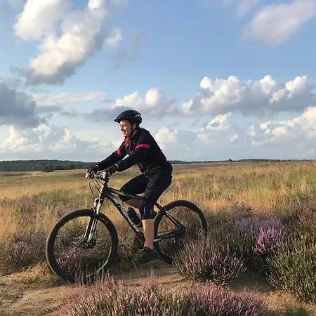 דירה Chalet Op De Veluwe # Berk
