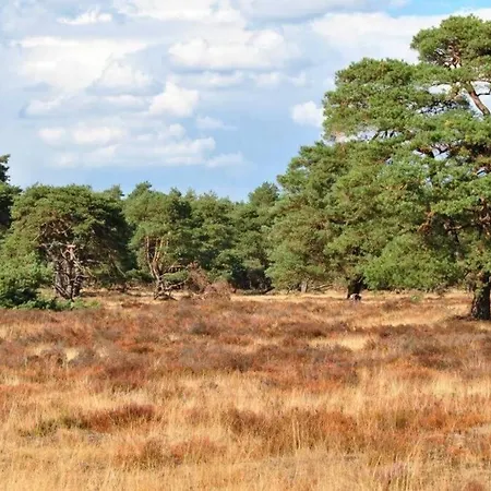 דירה Chalet Op De Veluwe # Berk