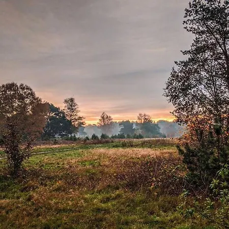 Chalet Op De Veluwe # Berk *