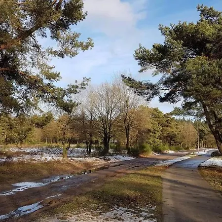 דירה Chalet Op De Veluwe # Berk *