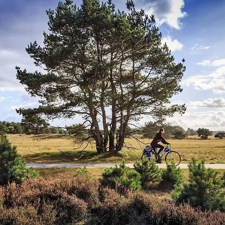 Chalet Op De Veluwe # Berk דירה *