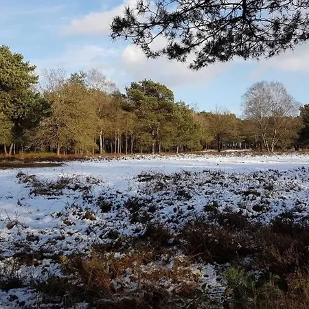 Chalet Op De Veluwe # Berk פוטן