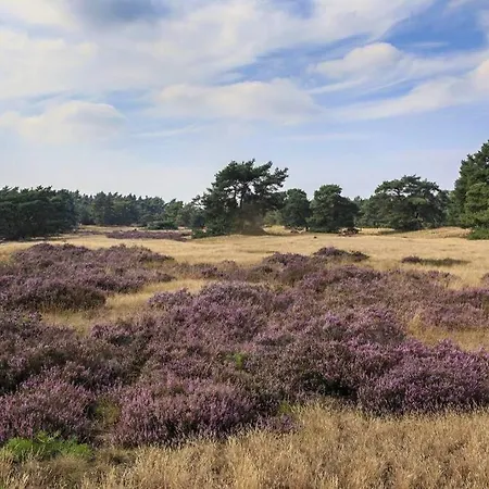 Chalet Op De Veluwe # Berk פוטן